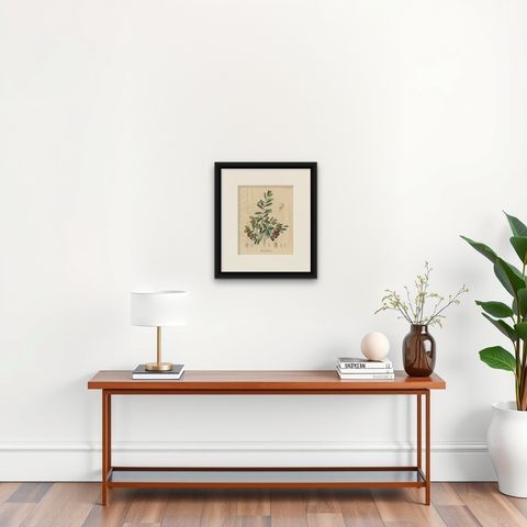 Antique Olive Botanical Print, Hand Colored Copper Engraving, c.1831, shown framed on a wall, true to size