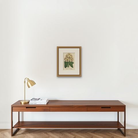 Decorative Original Antique Flower Print of the Rhododendron Carneum, c.1880, shown framed on a wall, true to size
