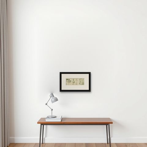Engravings of European Wild Ginger, Prickly Lettuce, and Common Soapwort, 1819, shown framed on a wall, true to size