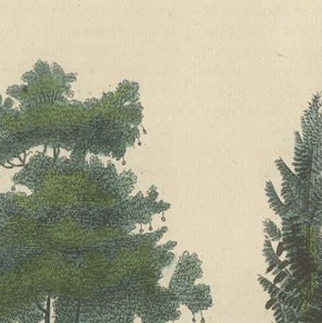 A Heritage of Flora: Original Antique Engraving of Diverse Plant Species, 1845, close-up 2