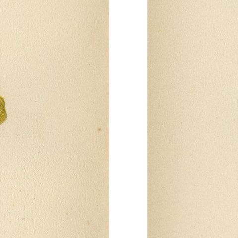 Native US Flora, Two Original Botanical Chromolithograps, 1879, close-up 2