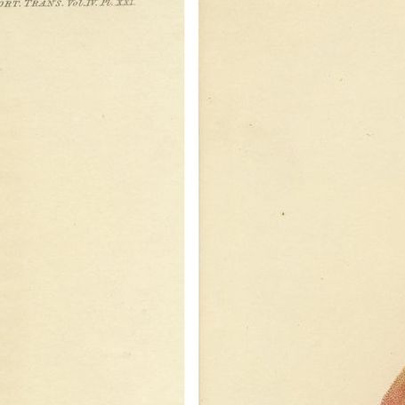 Set of 2 Antique Prints of the Gravenstein Apple and Alexander Apple, close-up 1