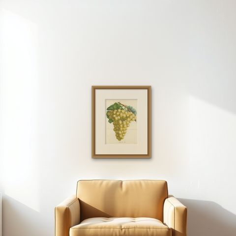 Stockwood Golden Hambro Grapes: Hand-Colored Lithograph by Louis van Houtte, shown framed on a wall, true to size