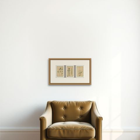 Rare 17th Century Botanicals, Trifolium, Gula Degener & Lotus, Leipzig, c.1690, shown framed on a wall, true to size
