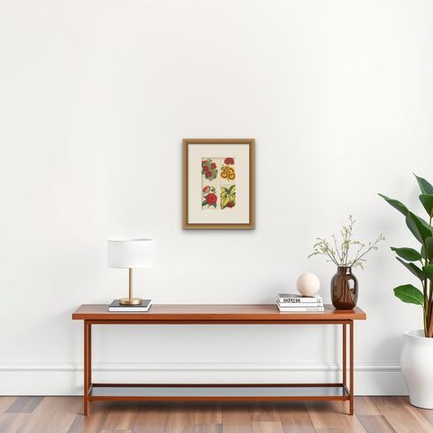 Set of 4 Antique Botany Prints, Red, by Brooks 'c.1870', shown framed on a wall, true to size