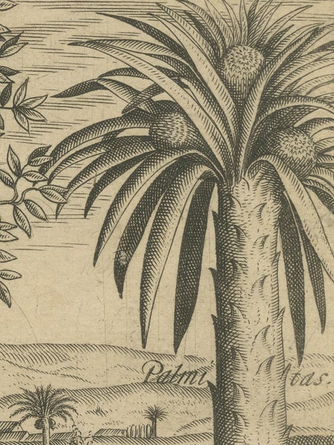 Tropical Abundance: The Jackfruit and Palm Trees in De Bry's 1601 Engraving, close-up 3