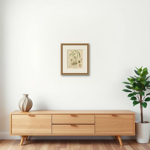 Antique Ginger Botanical Print, Zingiber Officinale, c.1831, shown framed on a wall, true to size