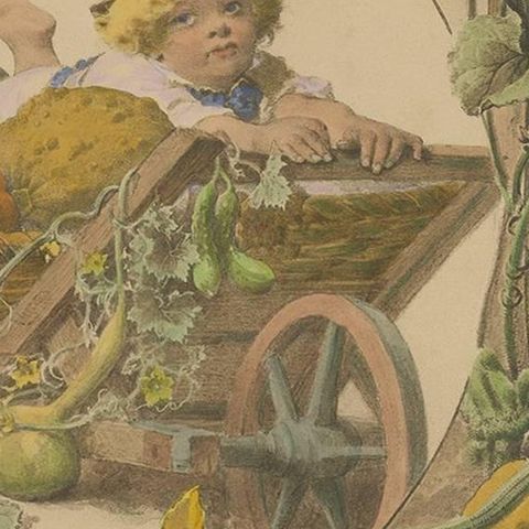 Antique Botany Print of Pumpkin Plants, 1890, close-up 2