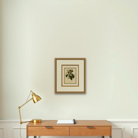Antique Botanical Lithograph, Vanilla Guianensis, Suriname Orchid, 1856, shown framed on a wall, true to size