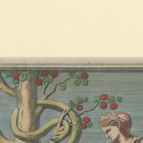 Antique Print of Hercules in the Garden of the Hesperides by Ferrari '1646', close-up 1