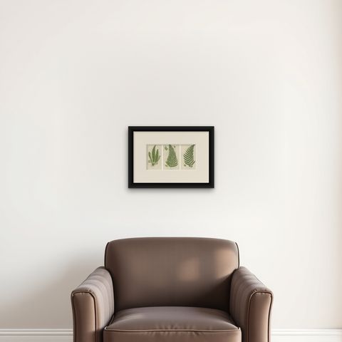 Holly Fern, Common Prickly Fern and Angular-leaved Prickly Fern, Triptych, 1873, shown framed on a wall, true to size