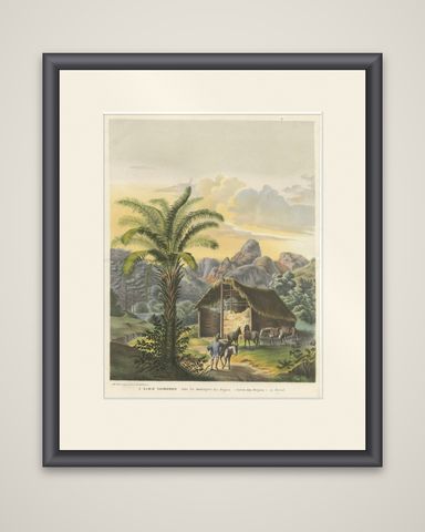 Arecoideae Palm Trees in Serra dos Órgãos, Brazil, circa 1861, shown framed