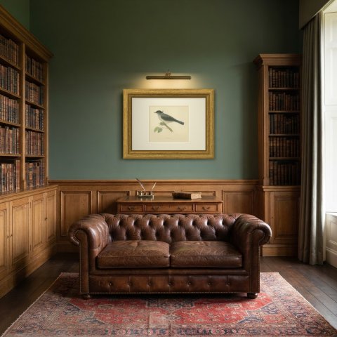 Blackcap with Hanging Leaves, Hand Colored Wood Engraving, Morris, 1896, shown framed in a room, true to size