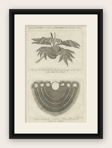 The Breadfruit Tree and Gorget: Symbols of Life and Leadership in the Pacific, shown framed