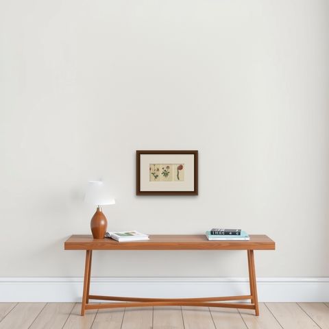 Set of 3 Antique Botany Prints, Flowered Heath, Daisy, Canadian Columbine, shown framed on a wall, true to size