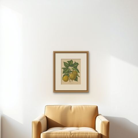 Antique Decorative Print of Japanese Pears, 1879, shown framed on a wall, true to size