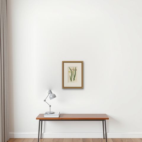 Antique Flower Lithograph of Purple and Yellow Wilcannia Lilies, 1856, shown framed on a wall, true to size