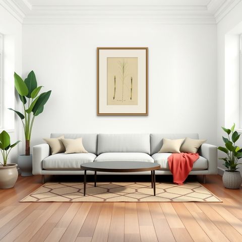 Antique Sugarcane Botanical Chromolithograph, Teboe Glagah, Java 1892, shown framed in a room, true to size