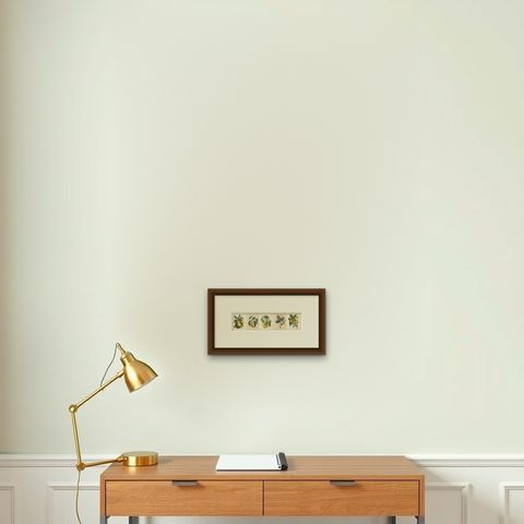 Antique Fruit Prints, Pears, Strawberry, Apple with Insects, circa 1850, shown framed on a wall, true to size