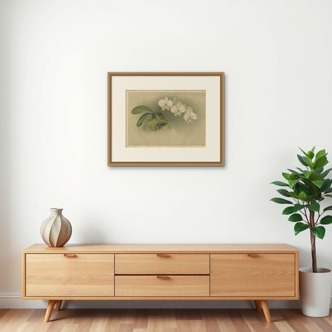 Victorian Botanical Print, White Phalaenopsis Casta Orchid, Published ca.1888, shown framed on a wall, true to size