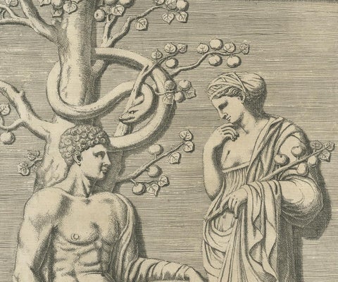 Antique Print of Hercules in the Garden of the Hesperides by Ferrari, 1646, view 3