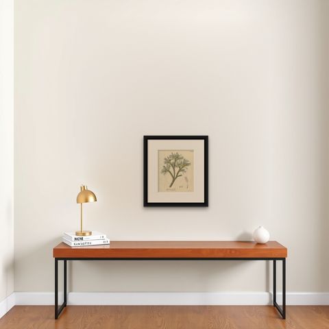 Antique Botanical Print of Astragalus Verus, Copper Engraving, c.1831, shown framed on a wall, true to size
