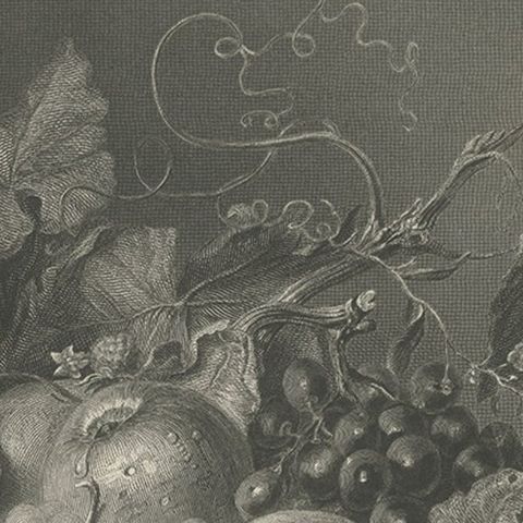 Antique Print of a Still life with a Basket of Autumn Fruit and Brambles, ca1860, close-up 2