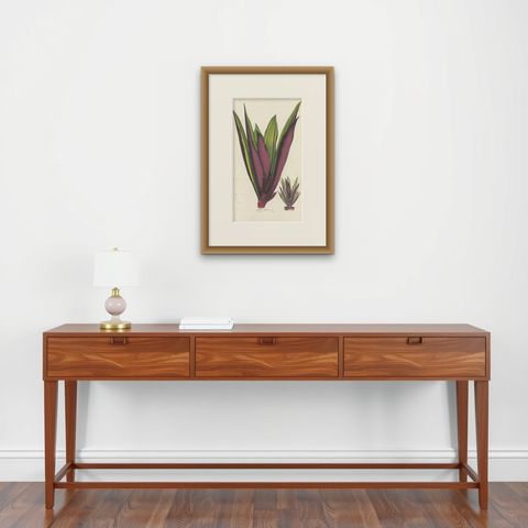 Antique Botany Print of Tradescantia Spathacea by Van Houtte, 1856, shown framed on a wall, true to size