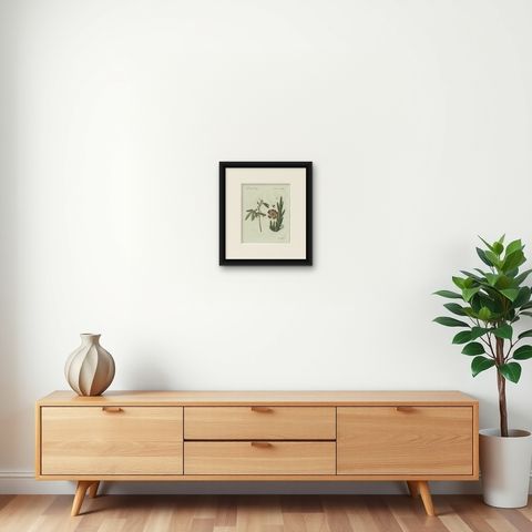 Original Antique Botanical Print of Carrion Flower and Mimosa by Bertuch, 1805, shown framed on a wall, true to size