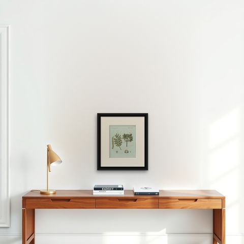 Original Antique Botanical Print of Manna Ash and Sarsaparilla by Bertuch, 1805, shown framed on a wall, true to size