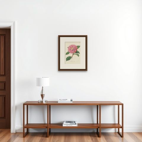 Double Flowering Camellia: Hand-Colored Lithograph from Louis van Houtte, 1855, shown framed on a wall, true to size