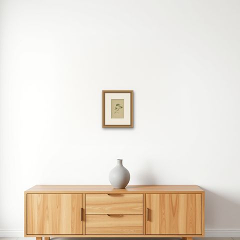 Antique Botany Print of the Dwarf Willow by Palla, 1897, shown framed on a wall, true to size