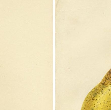 Set of 2 Antique Prints of the Duchesse d'Angouleme Pear and Others, close-up 1