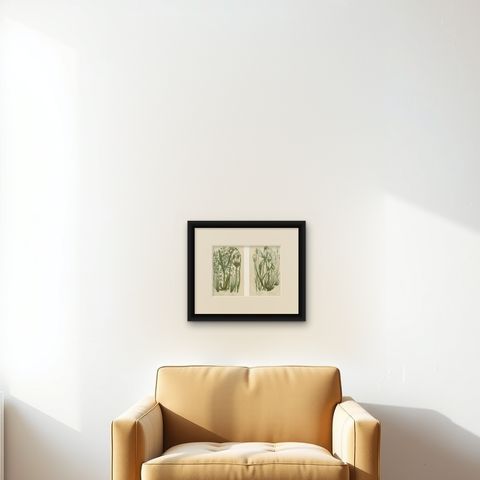Common Wall Spleenwort Ferns, Victorian Botanical Prints, 1873 Pair, shown framed on a wall, true to size