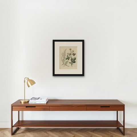 Yellow Crucifer and Slender Flowering Herb, Antique Bertuch Print, circa 1805, shown framed on a wall, true to size