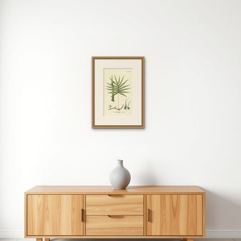 Beautiful, Hand-Crafted Lithograph of Ferns of Indonesia (Polypodium), 1829, shown framed on a wall, true to size