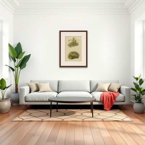 Victorian Botanical Orchid Print, Two Exotic Varieties, c.1888, shown framed in a room, true to size
