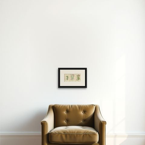 Antique Botanical Prints: Bouvardia Longiflora, Crossworts & Large Spur Valerian, shown framed on a wall, true to size