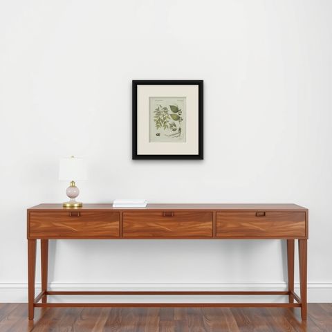 Original Antique Botanical Print of Licorice and Carob by Bertuch, 1805, shown framed on a wall, true to size