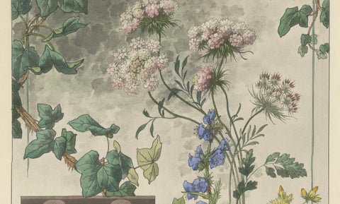 Floral Harmony in Art Nouveau: A Botanical Composition by Henry Lambert, 1896, close-up 2