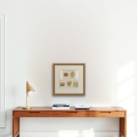 Set of 5 Antique Botany Prints, Mixed Colors, by Brooks 'c.1870', shown framed on a wall, true to size