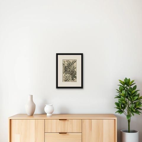Biblical Botanical Print, Dudaim Melon Engraving by Corvinus, 1731, shown framed on a wall, true to size