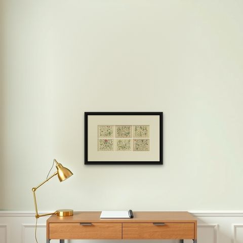 Antique Botanical Prints Set, German Wildflower Atlas Plates, Stuttgart 1885, shown framed on a wall, true to size