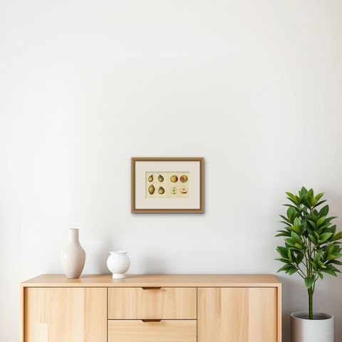 Set of 2 Original Antique Prints of various Pears and Apples, c.1835, shown framed on a wall, true to size