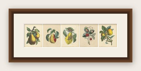 Antique Fruit Prints, Pears, Strawberry, Apple with Insects, circa 1850, shown framed