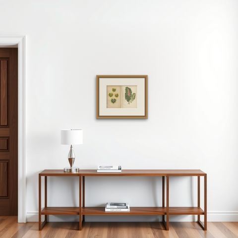 Contrasts in Nature: Pelargonium and Brassica, Botanical Art from 1880, shown framed on a wall, true to size
