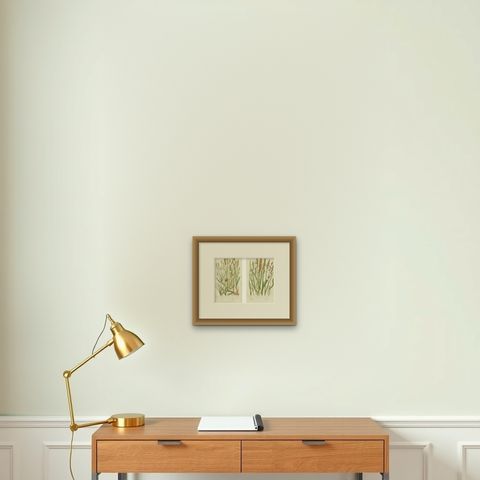 Hart’s Tongue and Scaly Spleenwort Ferns, Hand-Colored Botanical Prints, 1873, shown framed on a wall, true to size