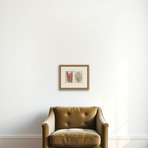 Set of 2 Antique Botany Prints by Reeve 'c.1870', shown framed on a wall, true to size