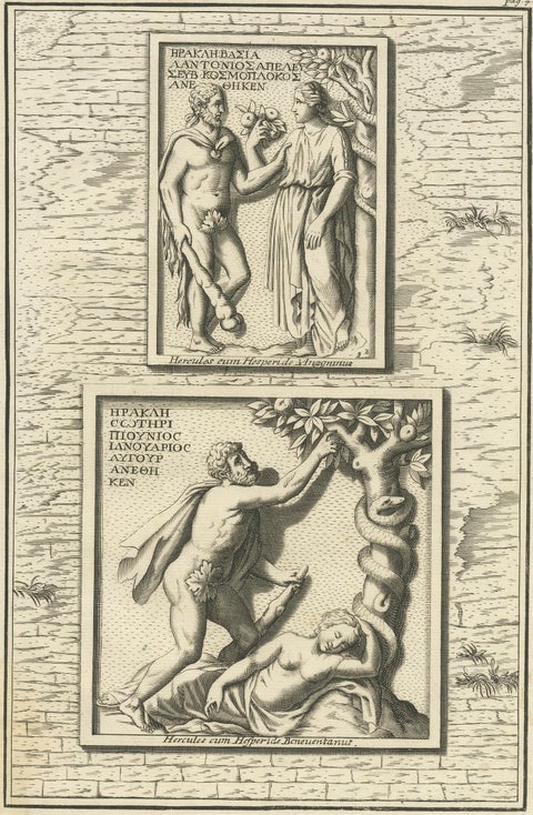 Antique Print of Hercules in the Garden of Hesperides by Volckamer, circa 1710, view 2