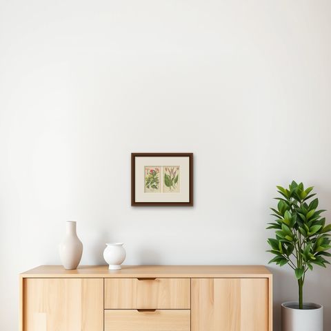 1897 Botanical Prints, Marvel of Peru and Eastern Knotweed, shown framed on a wall, true to size